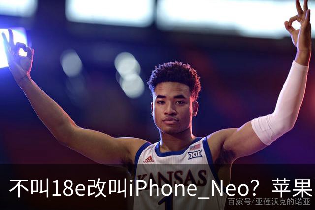 不叫18e改叫iPhone Neo？苹果明年春季入门新机曝光：换上灵动岛与A20芯片，依然是单摄！