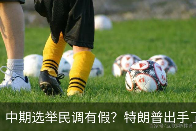 中期选举民调有假？特朗普出手了