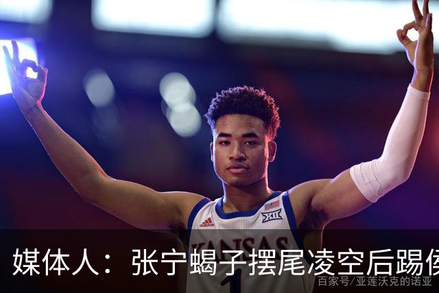 媒体人：张宁蝎子摆尾凌空后踢侯孟泽 这是高难度的武术技击动作
