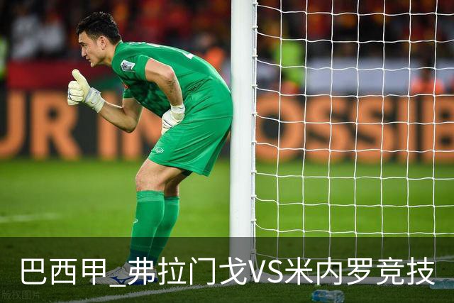 巴西甲 弗拉门戈VS米内罗竞技