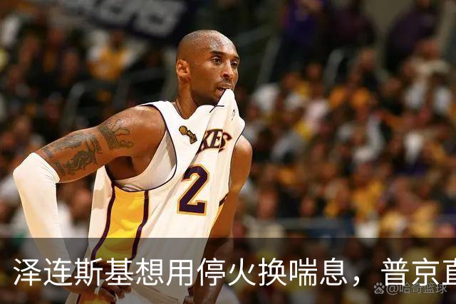 泽连斯基想用停火换喘息，普京直接锁死前提：领土不是谈判项