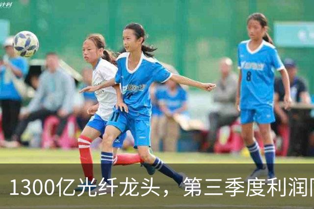 1300亿光纤龙头，第三季度利润同比增长1742%